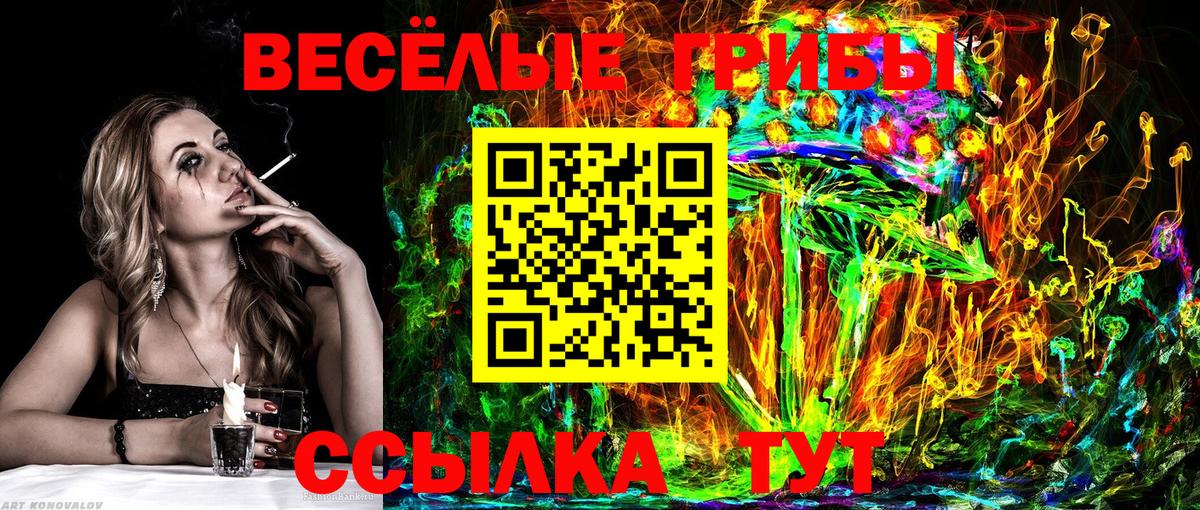 Псилоцибиновые грибы Psilocybe  Вход с VPN  Строитель 