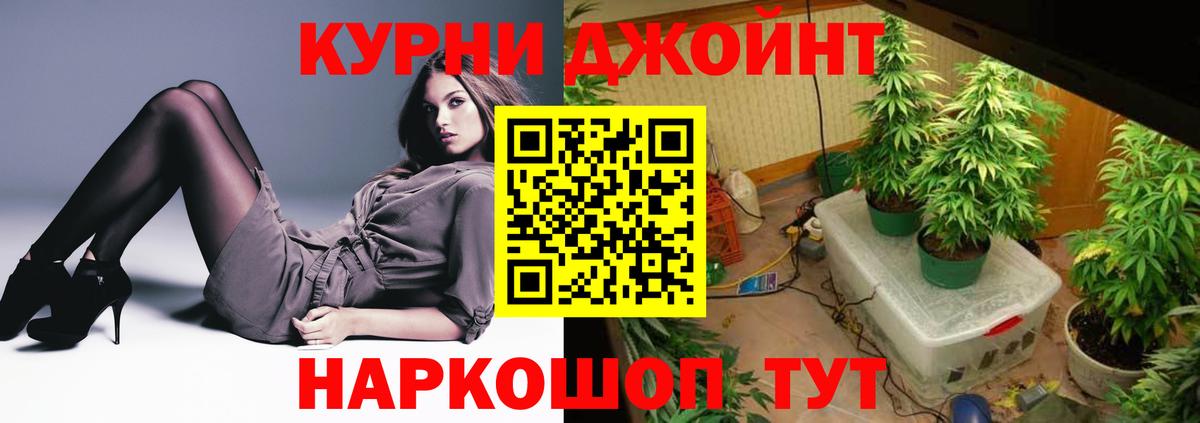 Конопля тримм  Марихуана план  Строитель  МАРИХУАНА сатива  МАРИХУАНА ГИДРОПОН  Вход с VPN 
